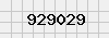 security_code