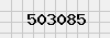 security_code
