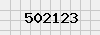 security_code