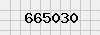 security_code