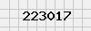 security_code
