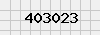 security_code