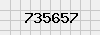 security_code