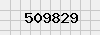 security_code