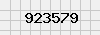 security_code