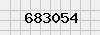 security_code