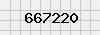 security_code
